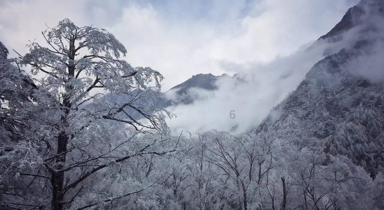 组装机械机甲暴龙2