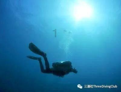 熊仔超级找茬